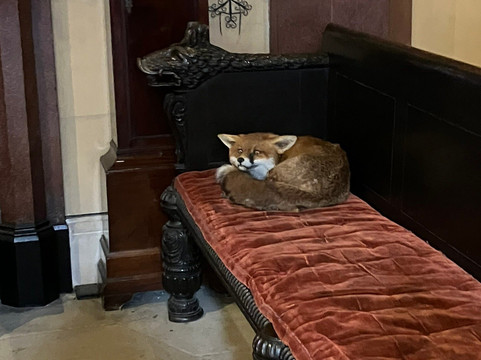 Raby Castle, Park And Gardens-Staindrop必去景点