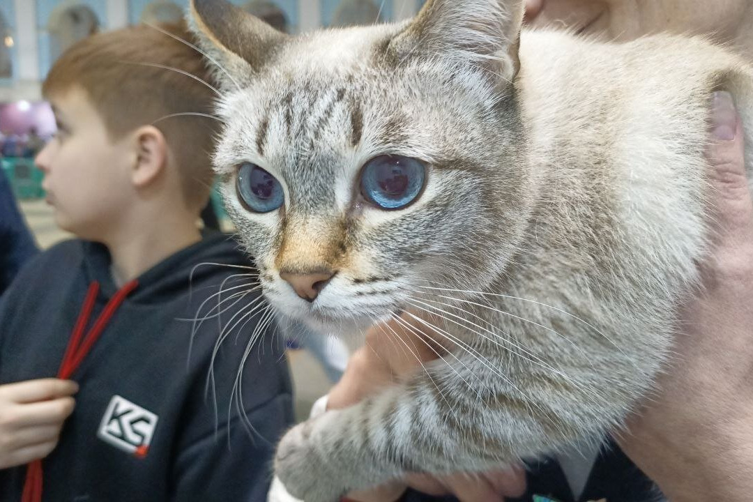 Gostiny Dvor and Trade Rows-Kimry必去景点