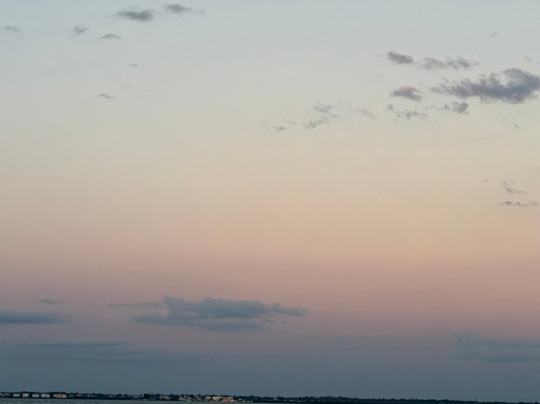 Spongeorama Sponge Factory-塔彭斯普林斯必去景点