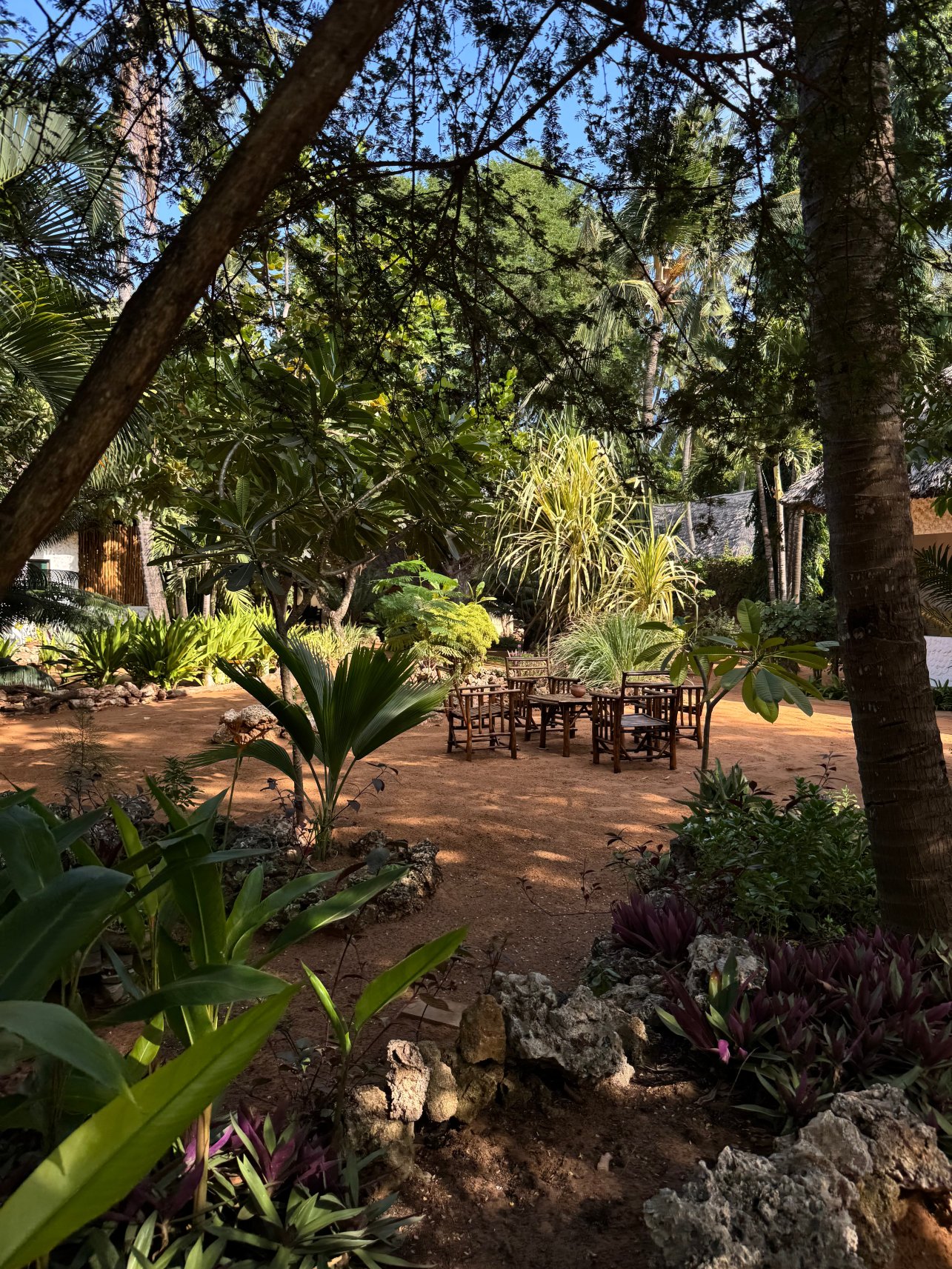 你我在非洲山林小屋-官方