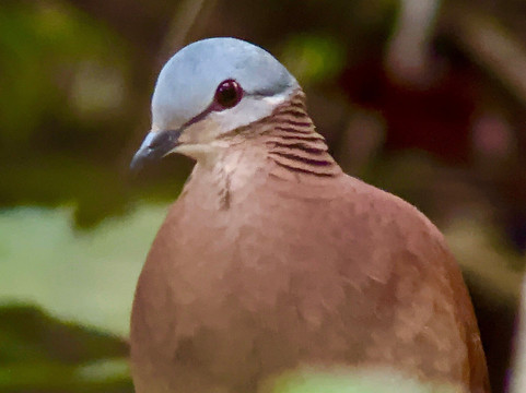 Jason Lara Tours-波魁特必去景点