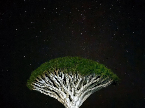 Embrace Socotra-Hadiboh必去景点