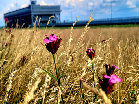 Boat Lift (Schiffshebewerk) Niederfinow-Niederfinow必去景点