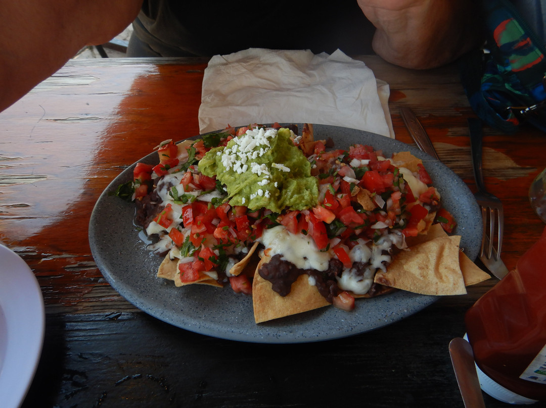Puerto Aventuras-阿范特拉斯港必去景点