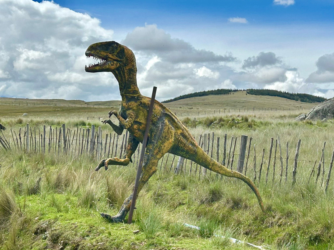 Nevado Pastoruri-瓦拉斯必去景点