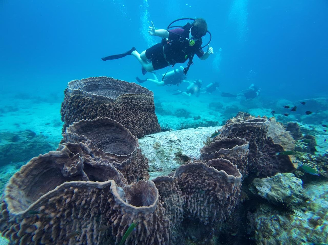 Scuba Nation Diving Centre-高龙撒冷岛必去景点
