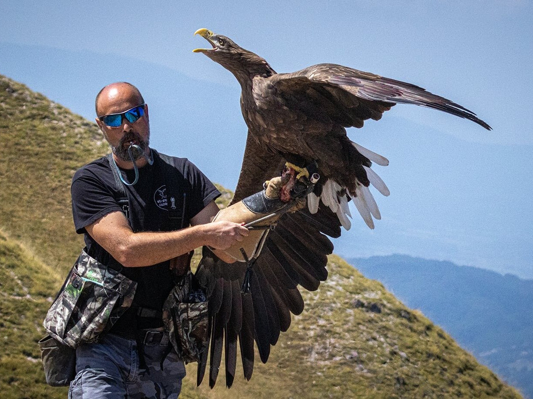 Wild World-Porto Potenza Picena必去景点