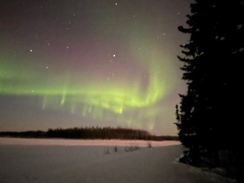 Chena River Lakes Recreation Area-北极必去景点