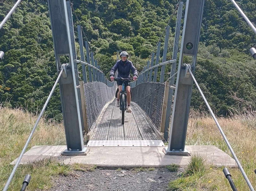 Wildfinder-惠灵顿必去景点