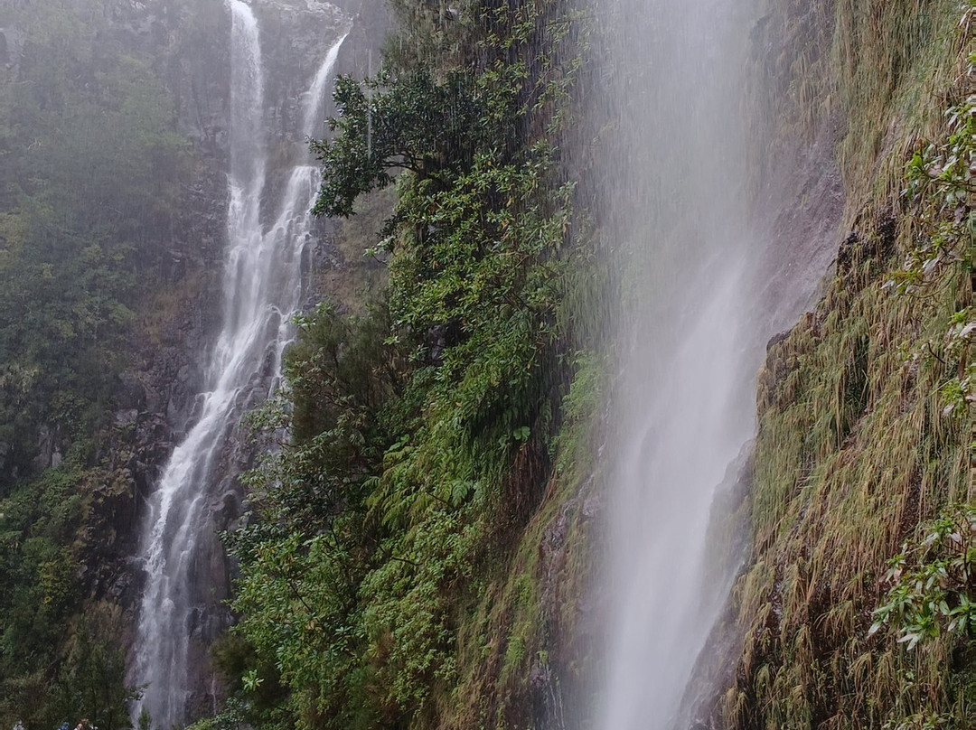Madeira Free Spirit walks-沙尔必去景点