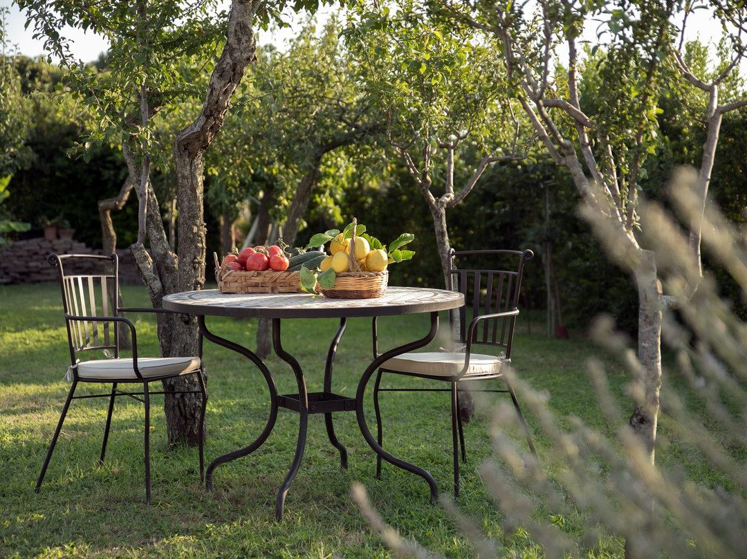 艾穆利尼奥酒店主图