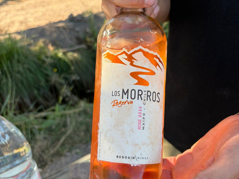 Besoain Wines-Pirque必去景点