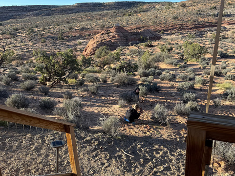 库珀湖旁的帆布酒店大阶梯主图