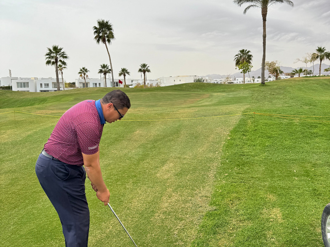 Pickalbatros Golf Course-沙姆沙伊赫必去景点