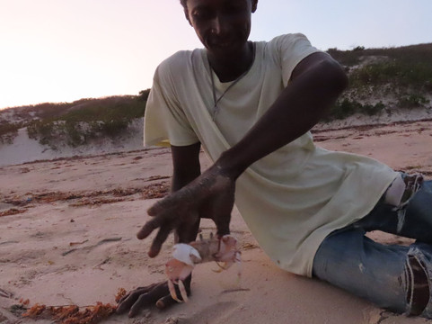 Lady Lamu Dhow-拉穆岛必去景点