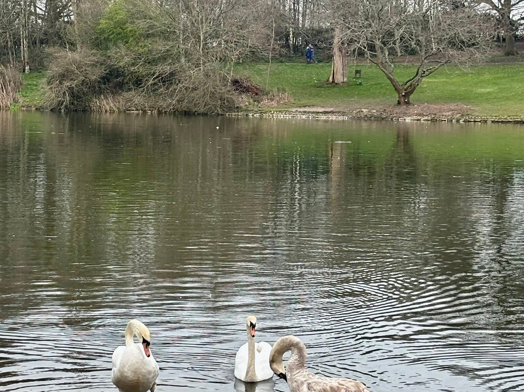 Coate Water Country Park-斯温顿必去景点