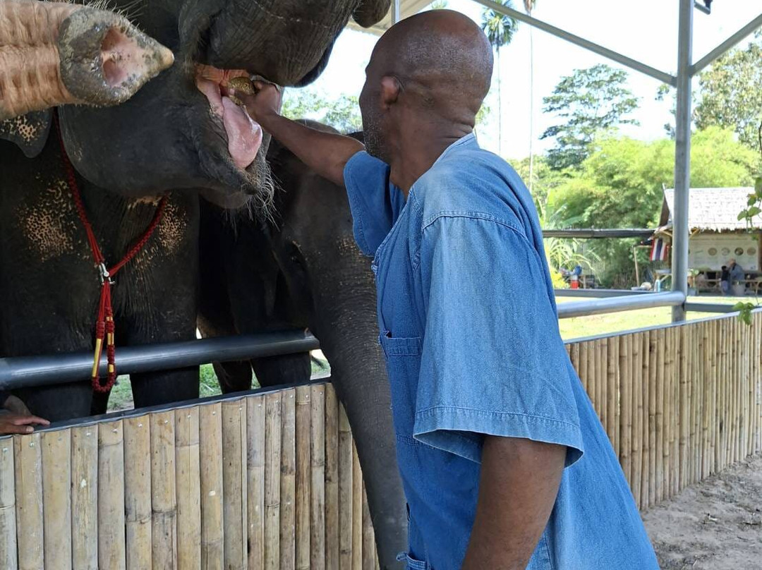 Trunk & Soul Elephant Home-班巴克洛必去景点