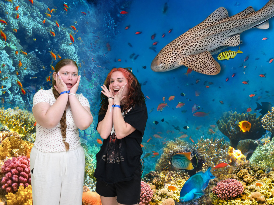 Lanzarote Aquarium-科斯塔特吉塞必去景点