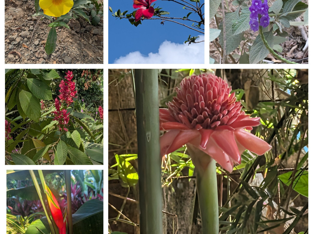 Nauyaca Waterfall Nature Park-Baru必去景点