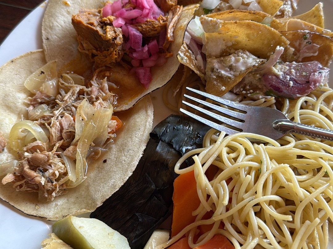 Tsukán Santuario de Vida-Piste必去景点