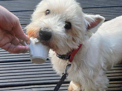 The Printworks Killingworth主图