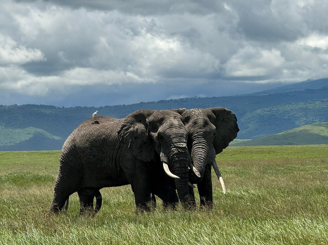 Sereland Africa Safaris-Sakina必去景点