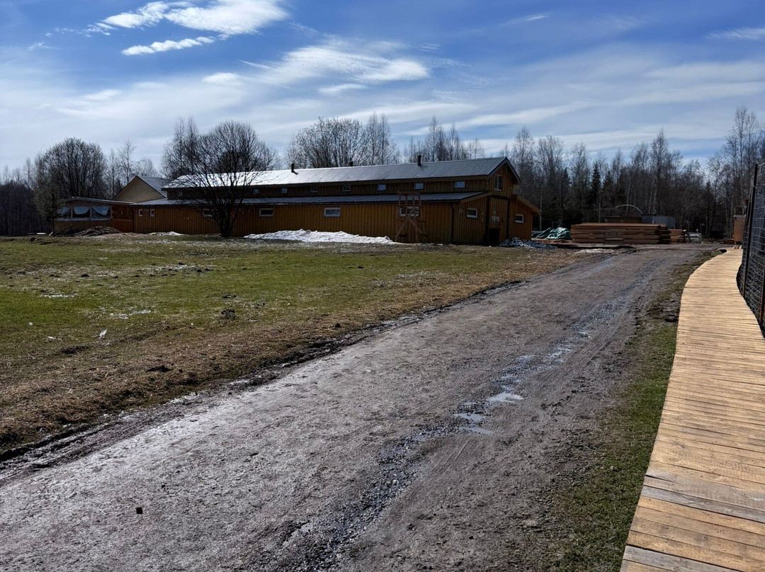 Deer farm Bambi Land-Volokolamsky District必去景点