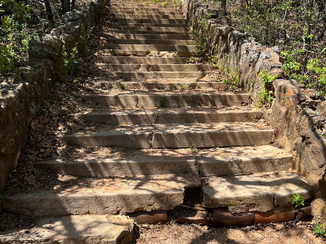 Old Zoo Nature Trails-Cisco必去景点