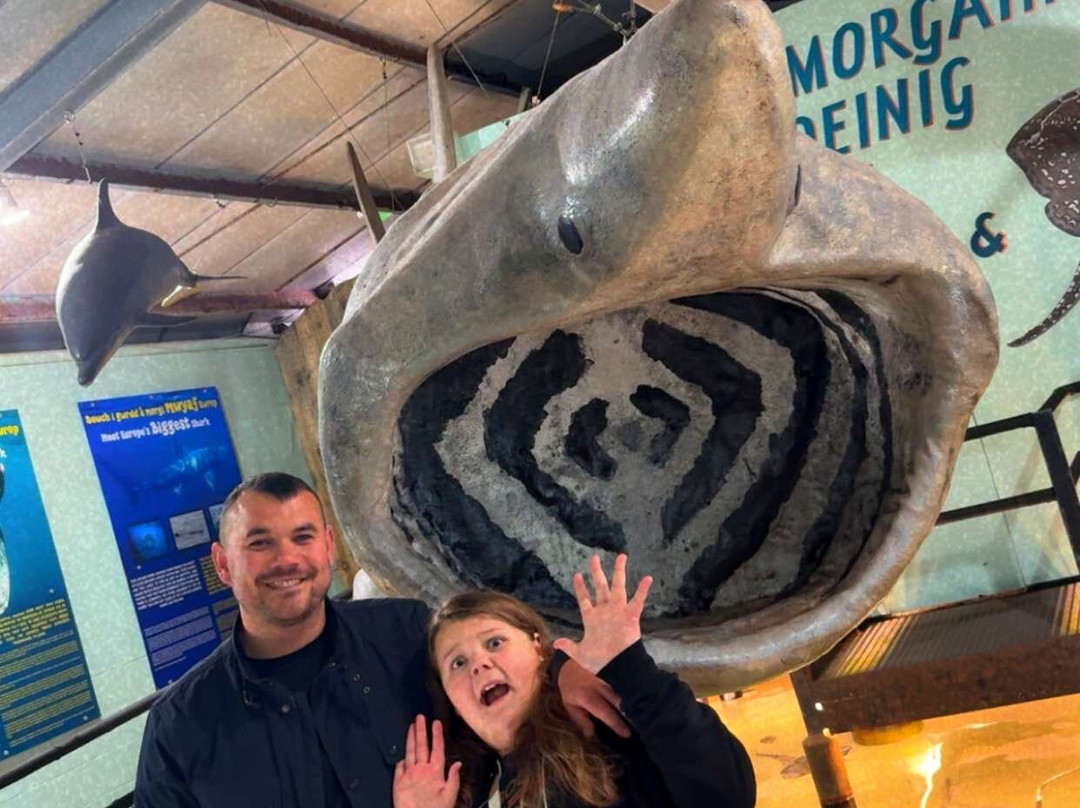 Anglesey Sea Zoo Sw Mor Mon-Brynsiencyn必去景点