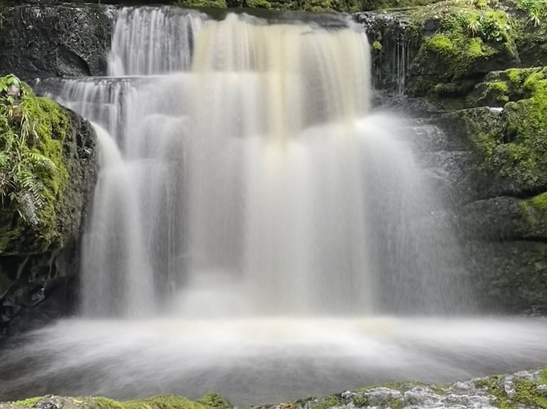 McLean Falls-Papatowai必去景点