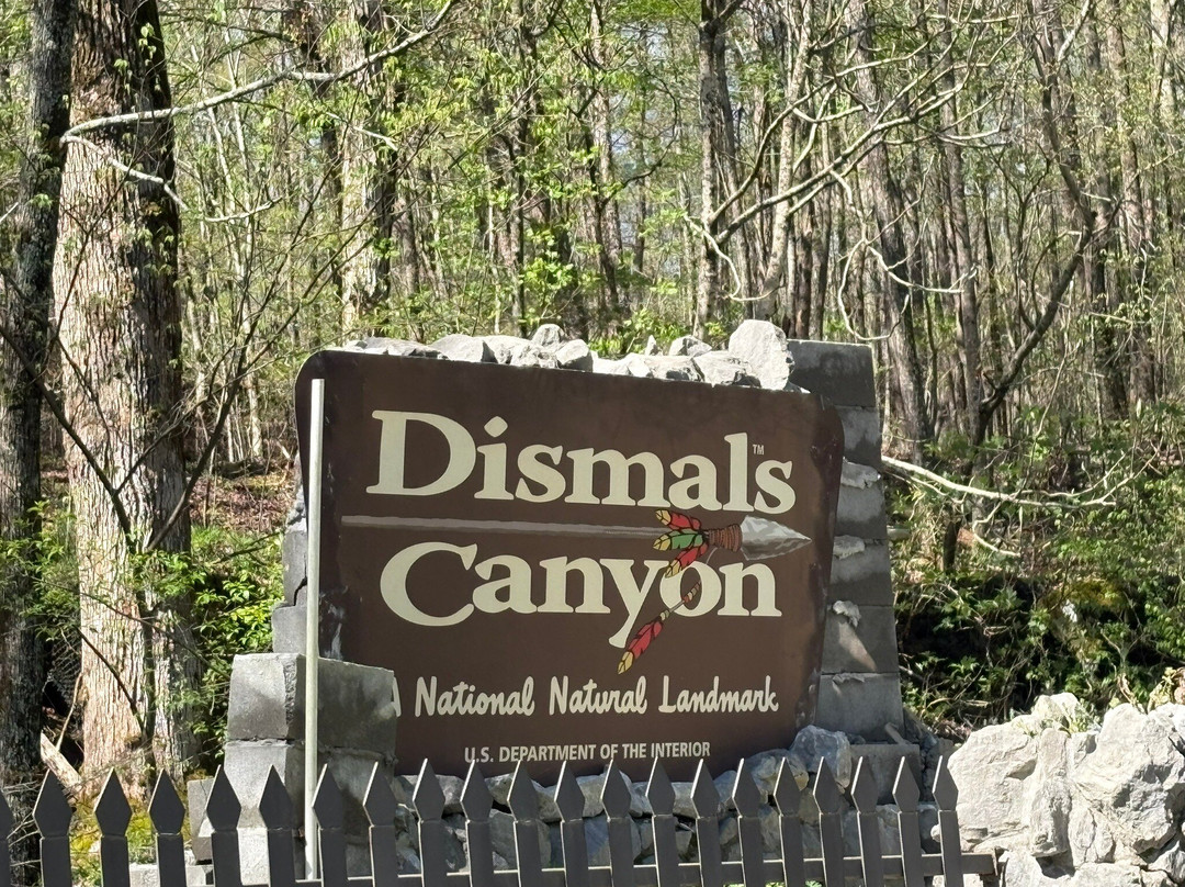 Dismals Canyon-Haleyville必去景点