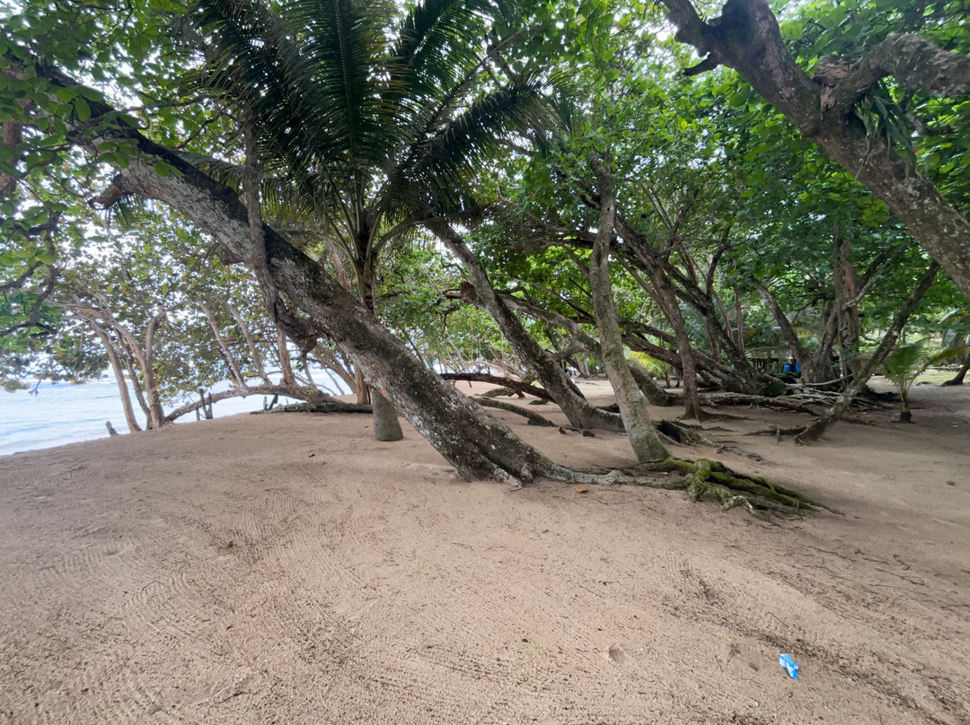 Polo Beach-Isla Bastimentos必去景点