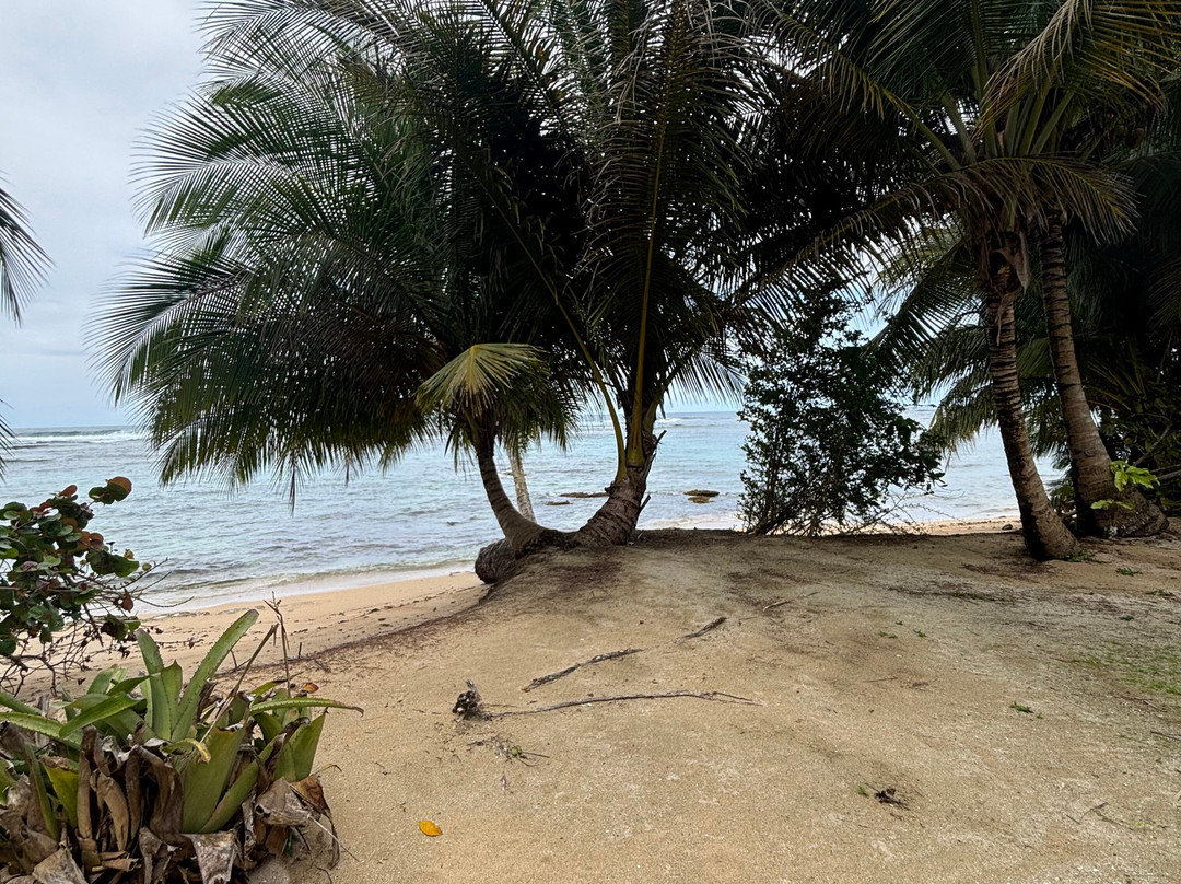 Polo Beach-Isla Bastimentos必去景点