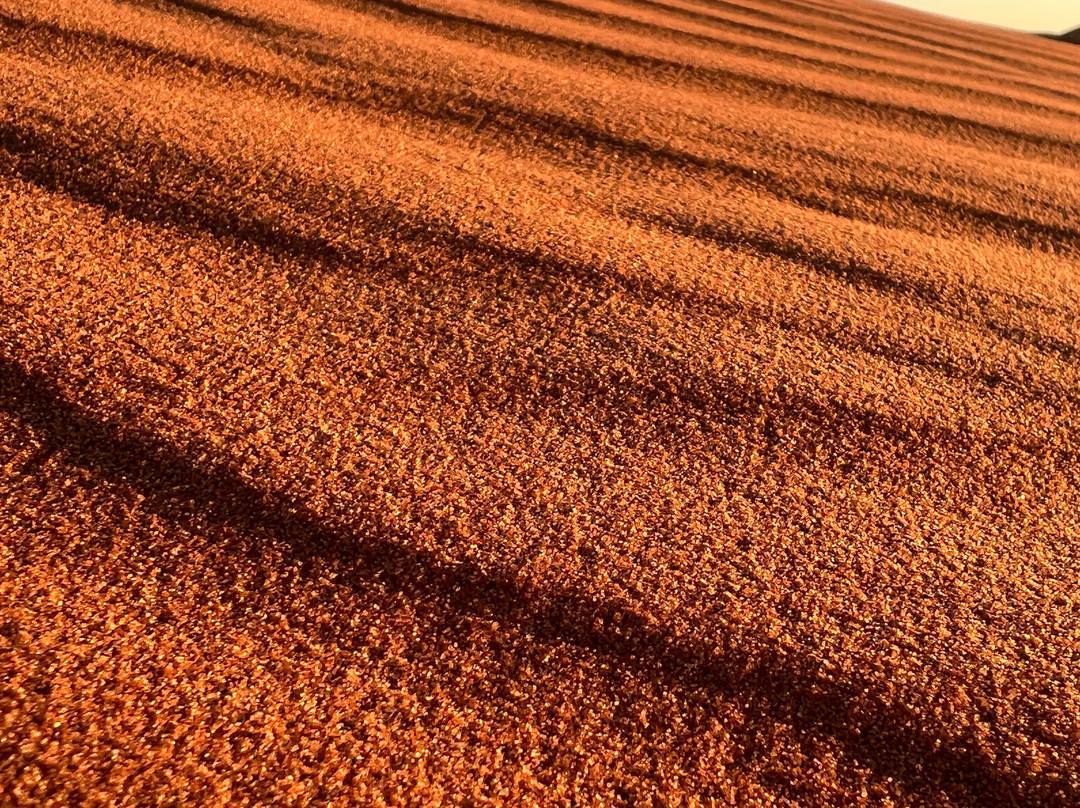 Marvelous Morocco-卡萨布兰卡必去景点