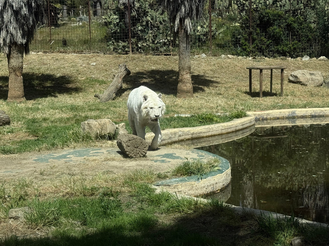 Mundo Park-Las Pajanosas必去景点