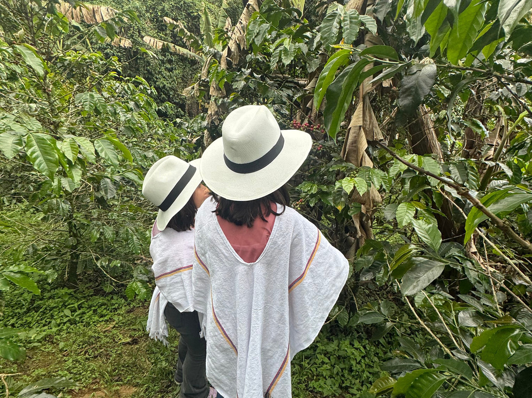 Finca Cafetera La Leona-麦德林必去景点