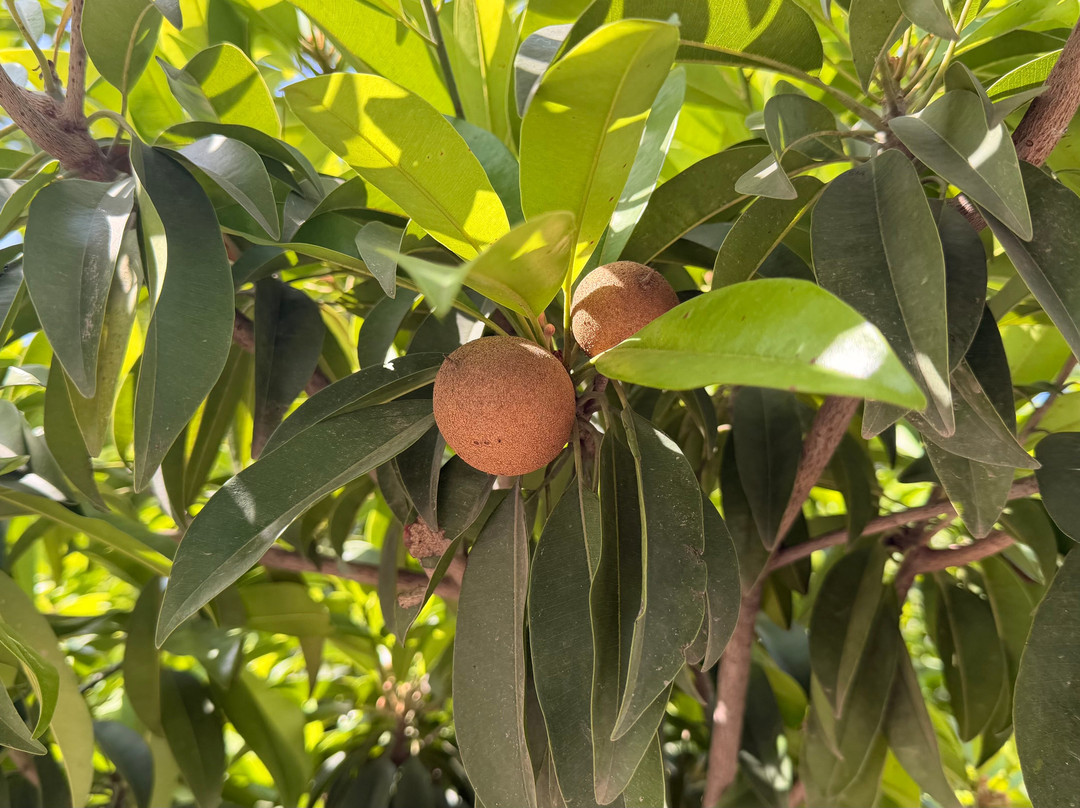 Karma Lakelands Golf Resort & Residences主图