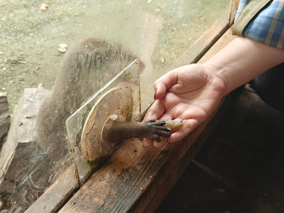 Exotic Zoo Wildlife Park + Natural History & Dino Museum-特尔福德必去景点