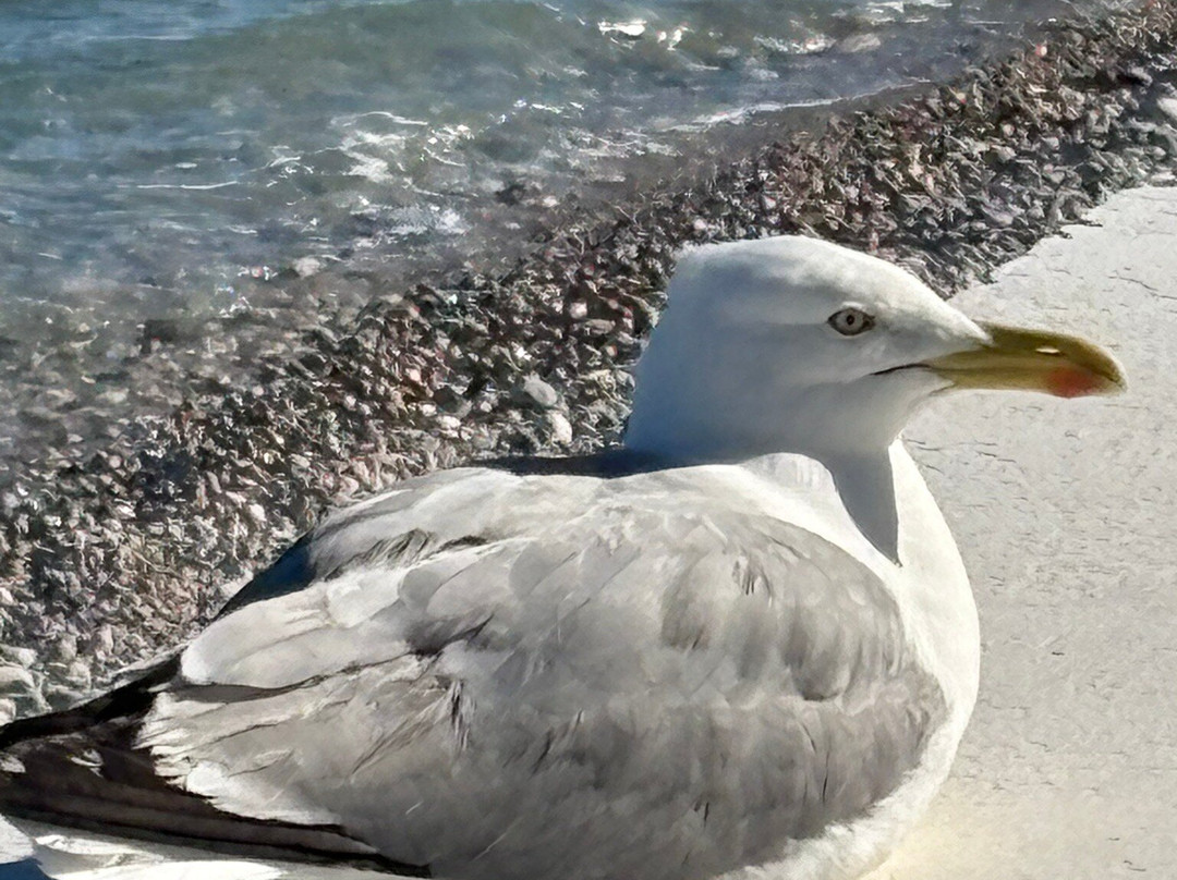 卡普内格雷特酒店主图