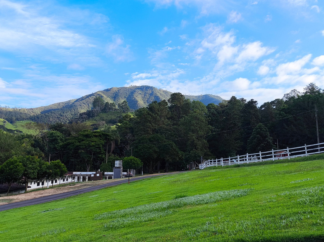 M1庄园酒店主图