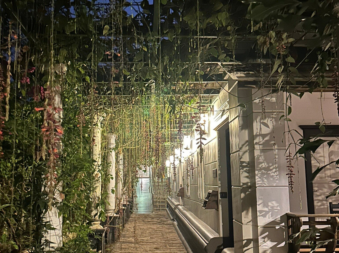 Softouch Ayurveda Village Kerala主图