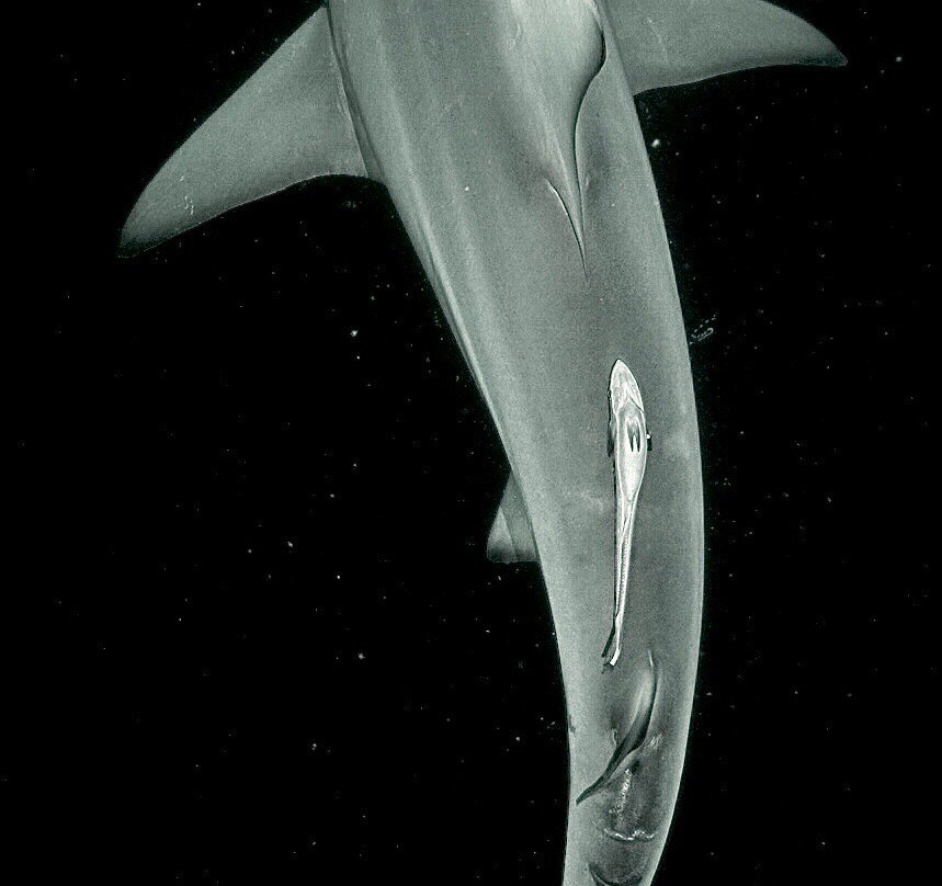 African Watersports-Umkomaas必去景点