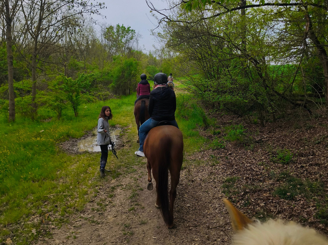Ac Ranch-Carentino必去景点