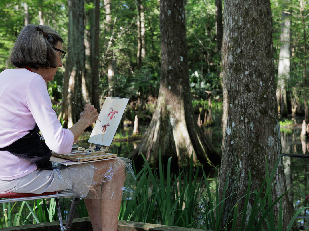 Palmetto Island State Park-Abbeville必去景点