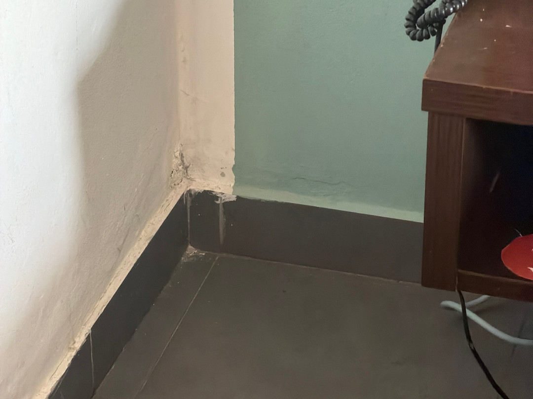 努阿瑟尔机场瑞莱克斯酒店主图