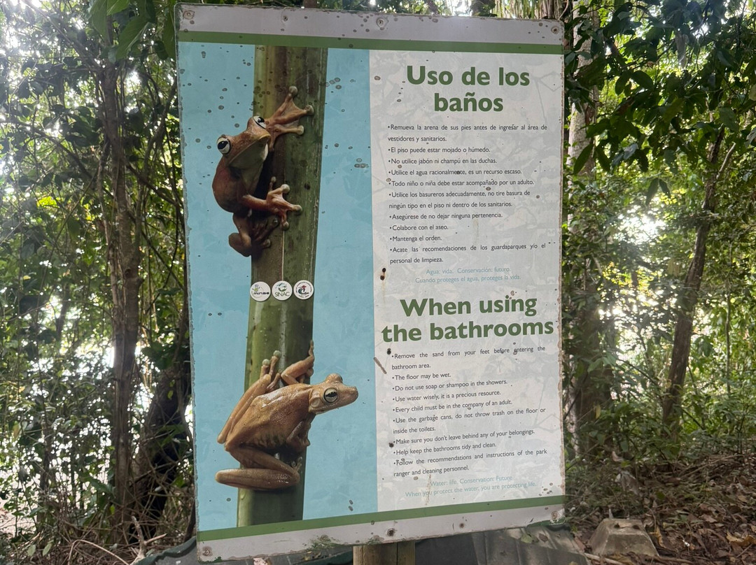 Manuel Antonio National Park-哥斯达黎加安东尼奥国家公园必去景点