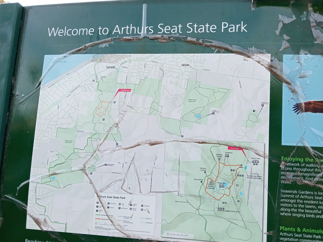 Arthurs Seat Eagle-Arthurs Seat必去景点