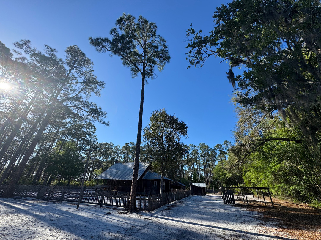 Inn At Folkston主图