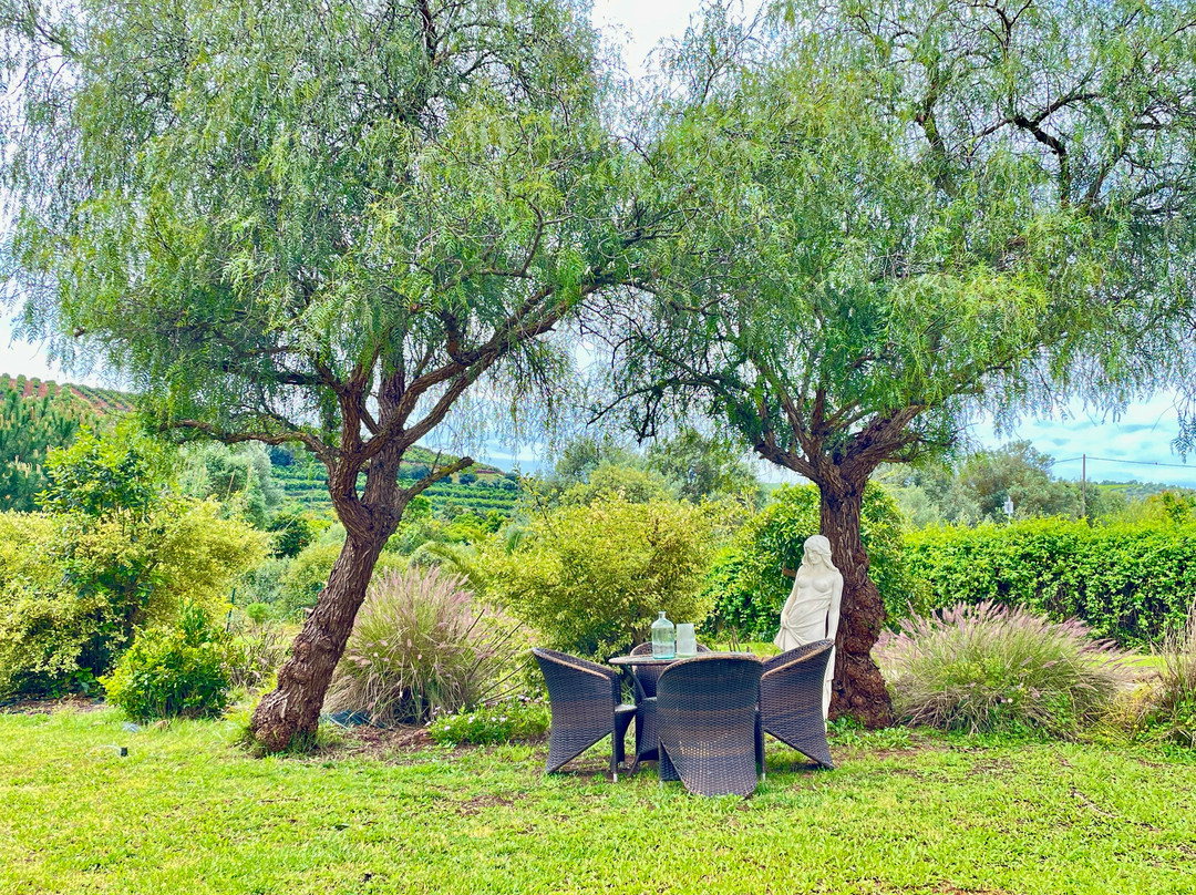 Quinta da Luz - 高级精品B&B主图