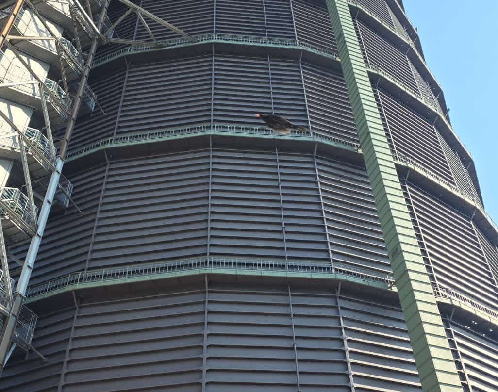 Gasometer Oberhausen-奥伯豪森必去景点
